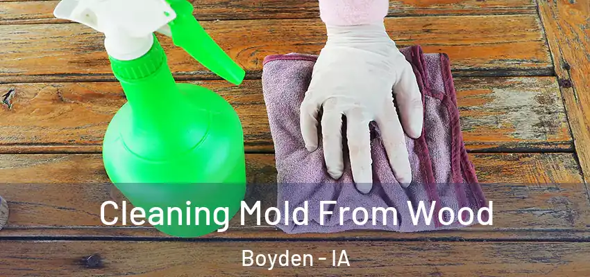 Cleaning Mold From Wood Boyden - IA