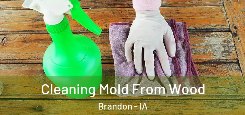 Cleaning Mold From Wood Brandon - IA