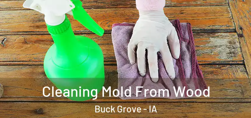Cleaning Mold From Wood Buck Grove - IA