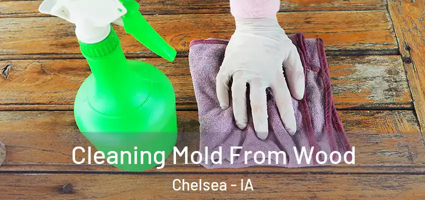 Cleaning Mold From Wood Chelsea - IA