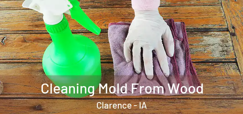 Cleaning Mold From Wood Clarence - IA