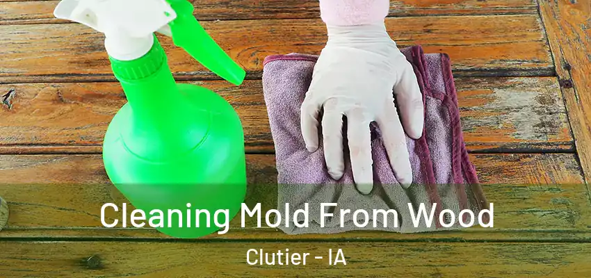 Cleaning Mold From Wood Clutier - IA