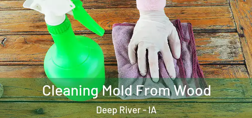  Cleaning Mold From Wood Deep River - IA