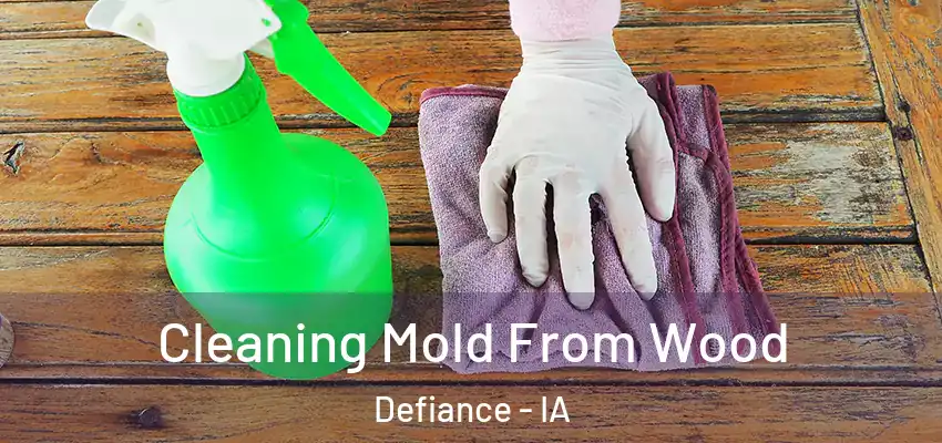 Cleaning Mold From Wood Defiance - IA