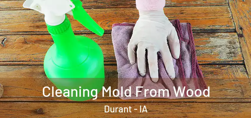 Cleaning Mold From Wood Durant - IA