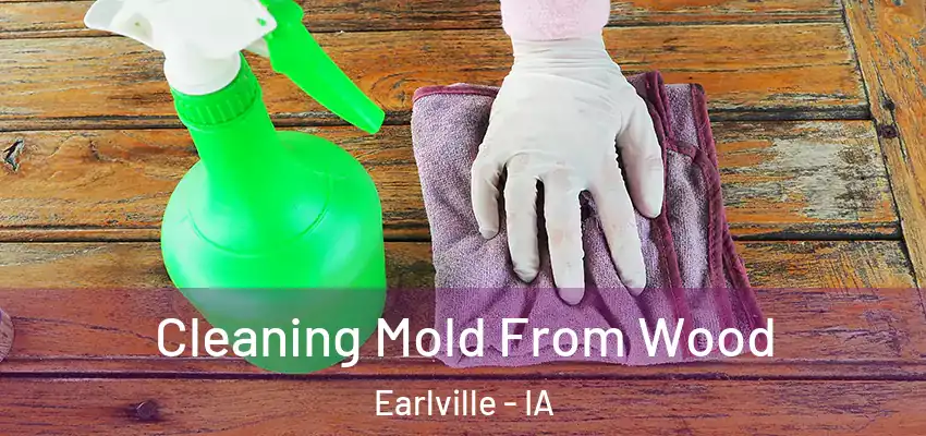  Cleaning Mold From Wood Earlville - IA