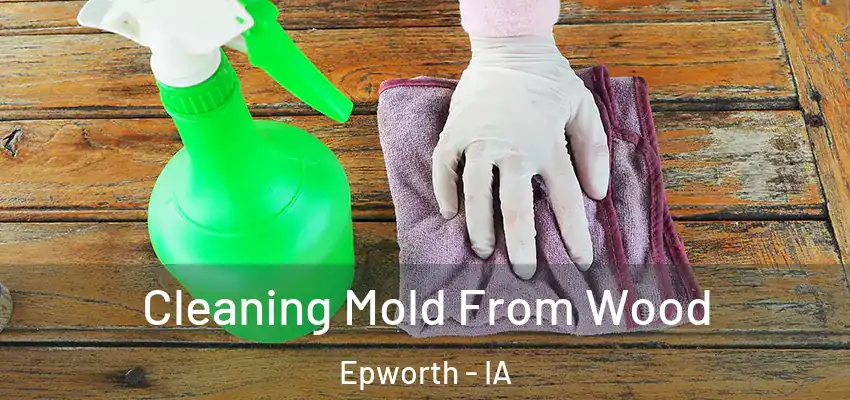 Cleaning Mold From Wood Epworth - IA