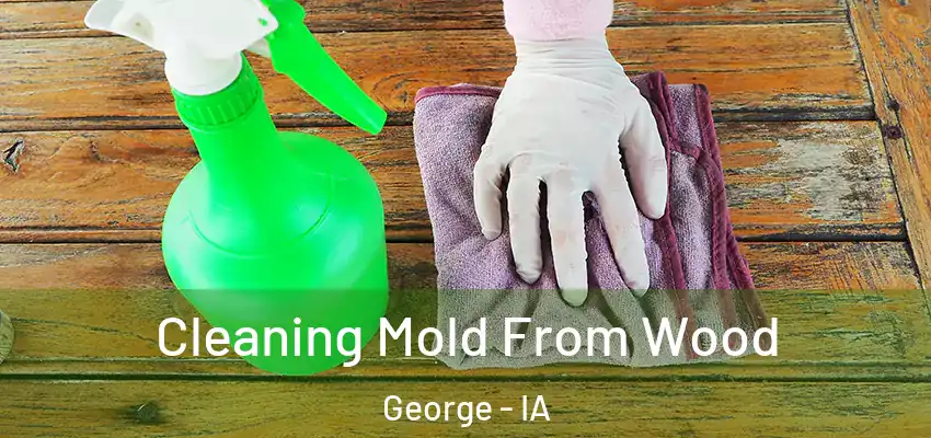  Cleaning Mold From Wood George - IA