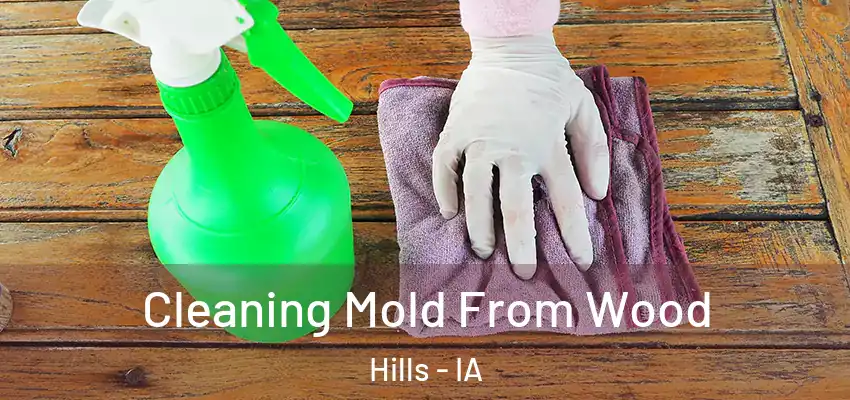 Cleaning Mold From Wood Hills - IA