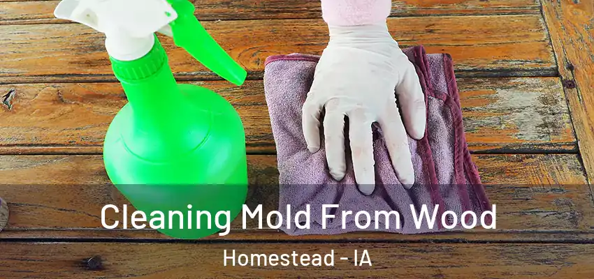  Cleaning Mold From Wood Homestead - IA