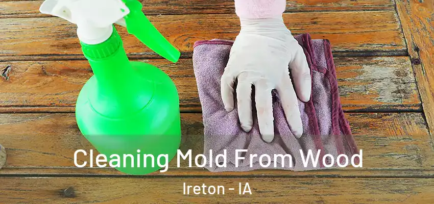 Cleaning Mold From Wood Ireton - IA