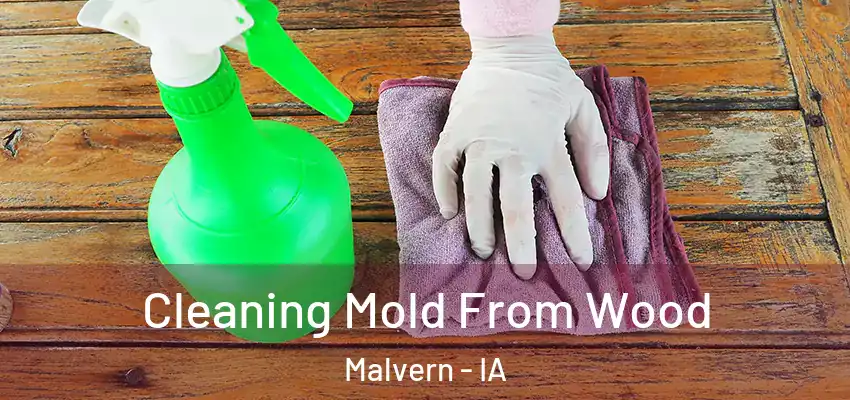  Cleaning Mold From Wood Malvern - IA
