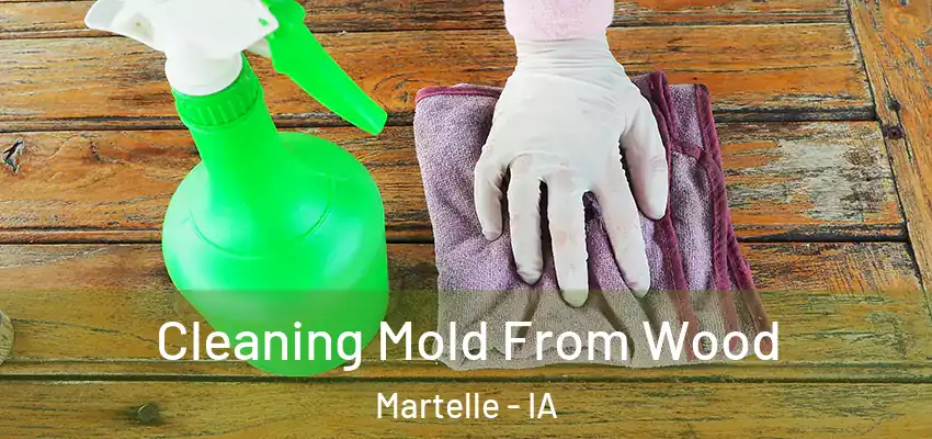  Cleaning Mold From Wood Martelle - IA