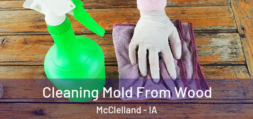  Cleaning Mold From Wood McClelland - IA