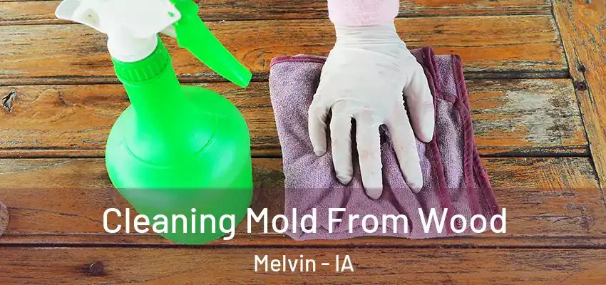  Cleaning Mold From Wood Melvin - IA