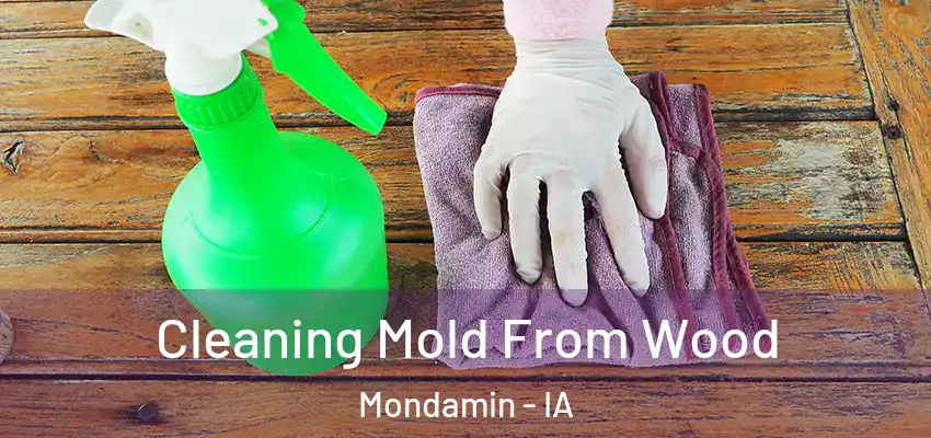  Cleaning Mold From Wood Mondamin - IA