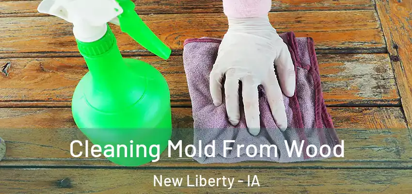 Cleaning Mold From Wood New Liberty - IA
