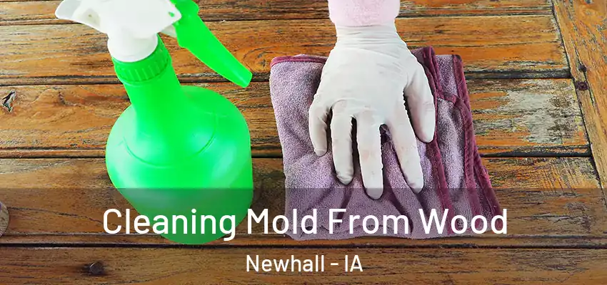 Cleaning Mold From Wood Newhall - IA