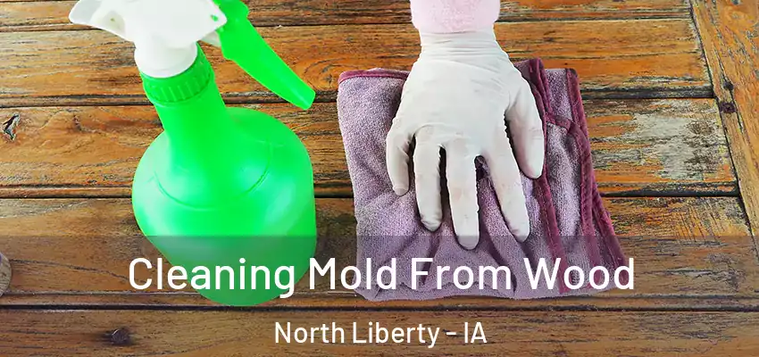  Cleaning Mold From Wood North Liberty - IA