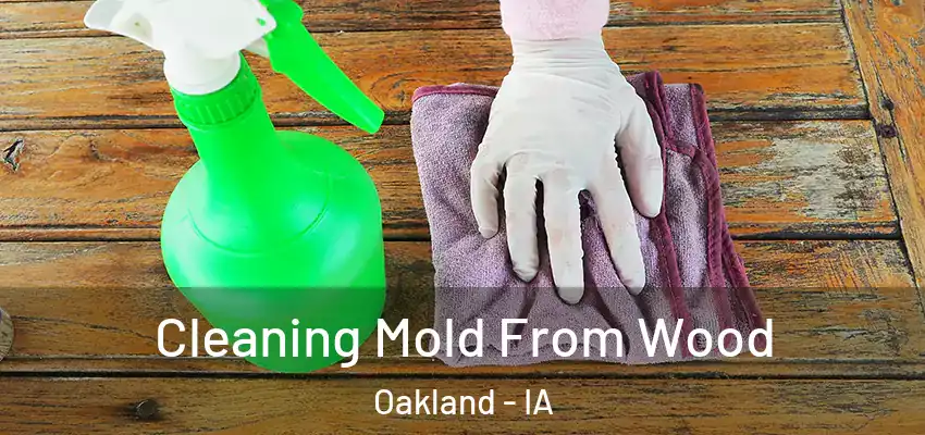 Cleaning Mold From Wood Oakland - IA