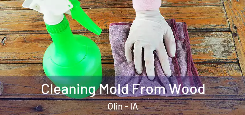 Cleaning Mold From Wood Olin - IA