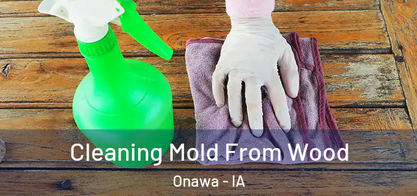 Cleaning Mold From Wood Onawa - IA
