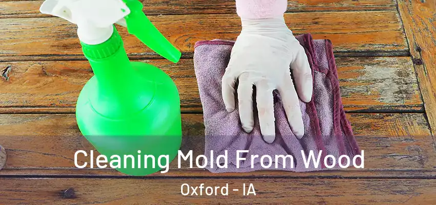 Cleaning Mold From Wood Oxford - IA