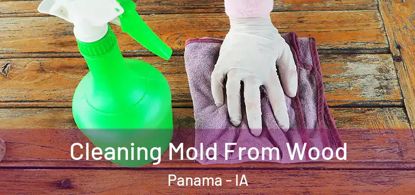  Cleaning Mold From Wood Panama - IA