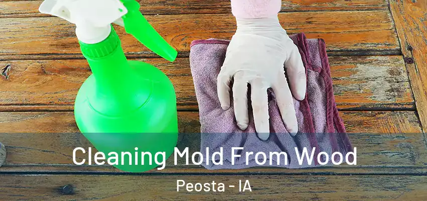  Cleaning Mold From Wood Peosta - IA