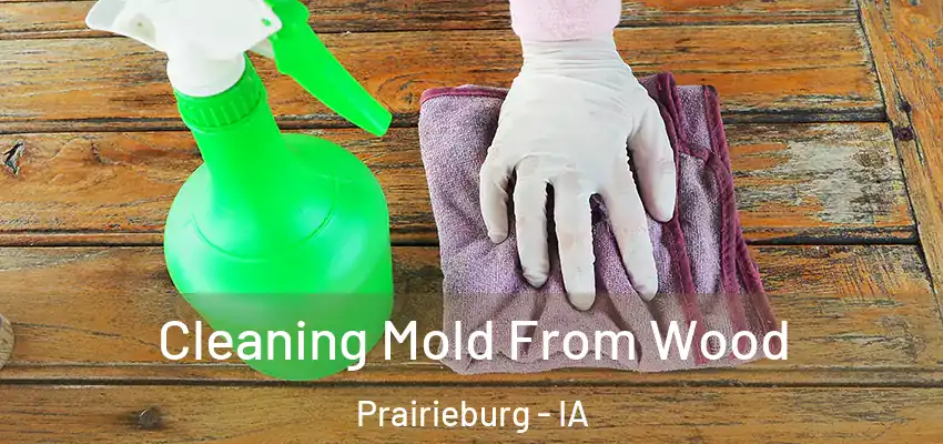 Cleaning Mold From Wood Prairieburg - IA