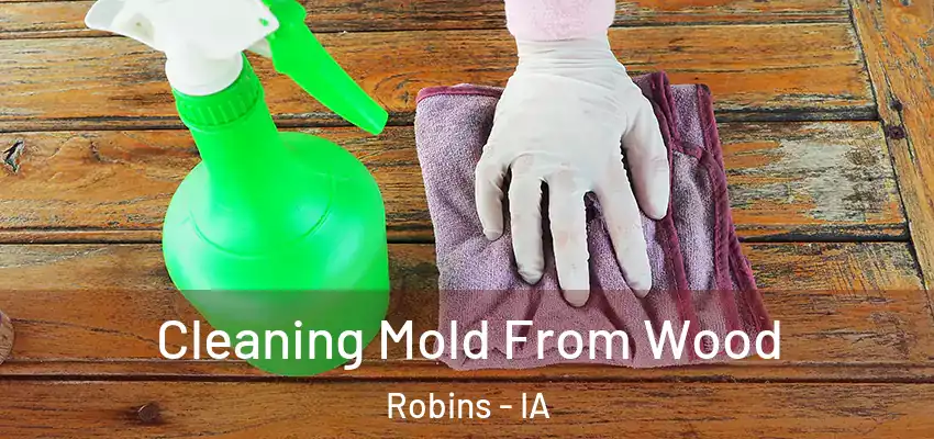 Cleaning Mold From Wood Robins - IA
