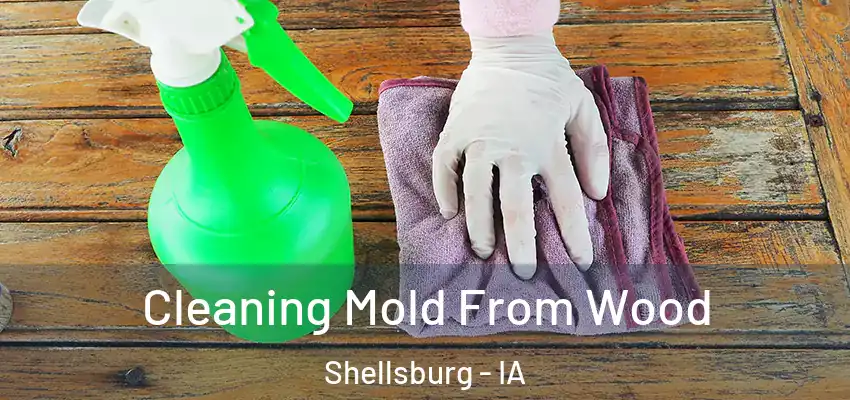Cleaning Mold From Wood Shellsburg - IA