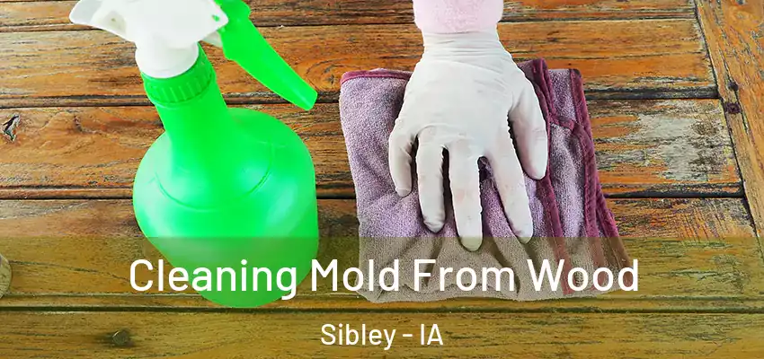  Cleaning Mold From Wood Sibley - IA