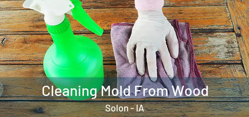  Cleaning Mold From Wood Solon - IA