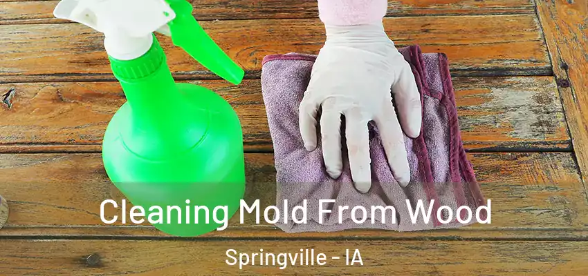 Cleaning Mold From Wood Springville - IA