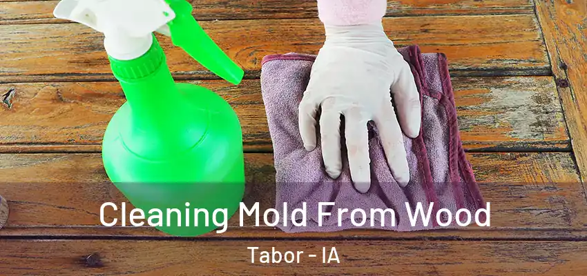  Cleaning Mold From Wood Tabor - IA