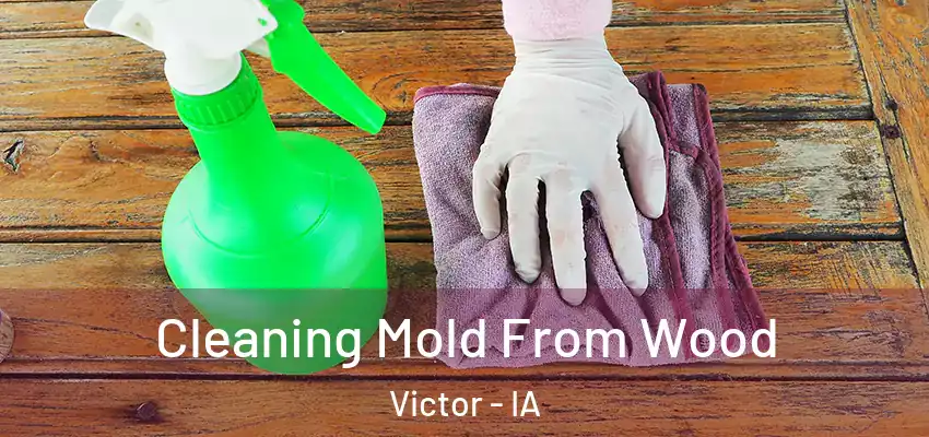  Cleaning Mold From Wood Victor - IA