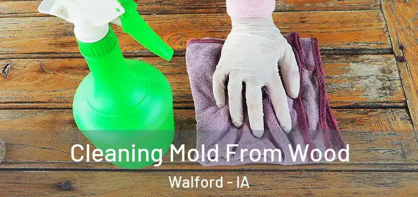  Cleaning Mold From Wood Walford - IA