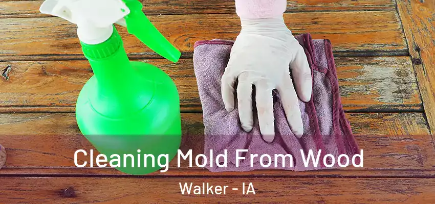 Cleaning Mold From Wood Walker - IA