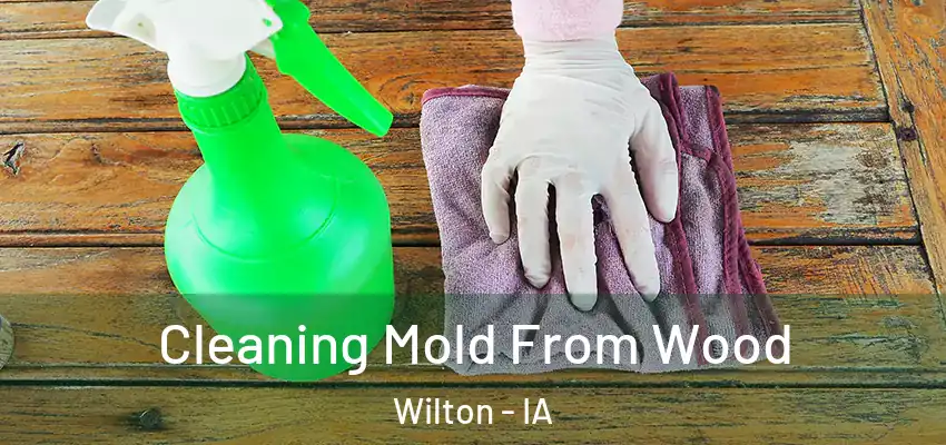 Cleaning Mold From Wood Wilton - IA