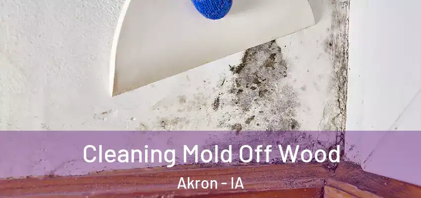 Cleaning Mold Off Wood Akron - IA