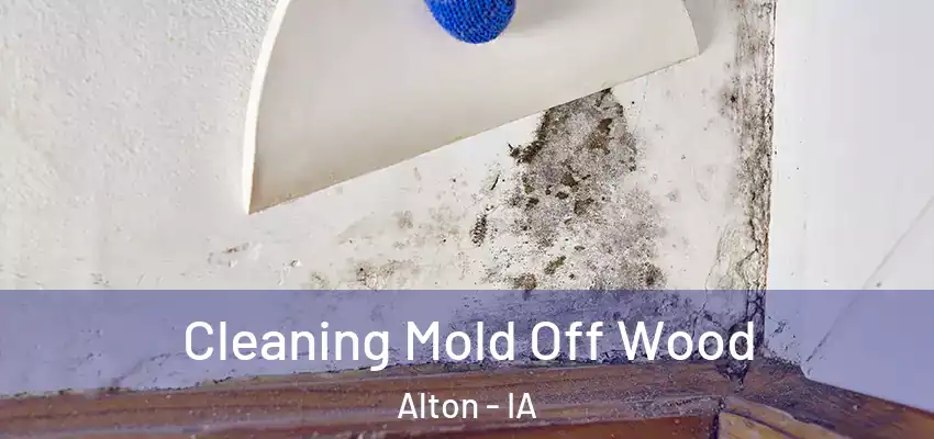  Cleaning Mold Off Wood Alton - IA