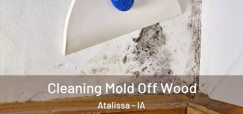 Cleaning Mold Off Wood Atalissa - IA