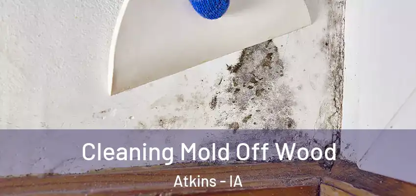 Cleaning Mold Off Wood Atkins - IA