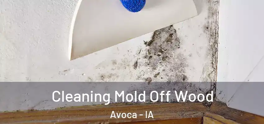 Cleaning Mold Off Wood Avoca - IA