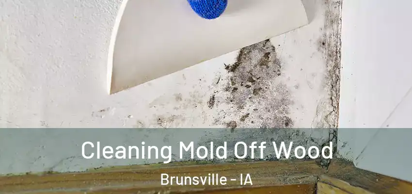 Cleaning Mold Off Wood Brunsville - IA
