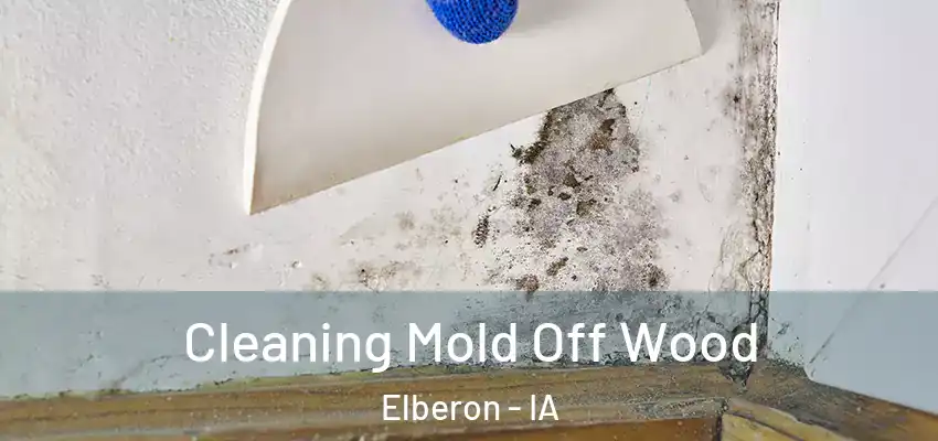 Cleaning Mold Off Wood Elberon - IA