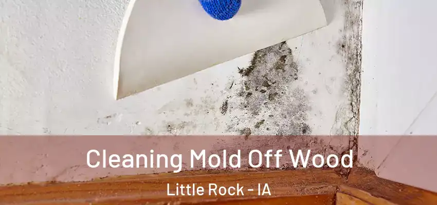  Cleaning Mold Off Wood Little Rock - IA
