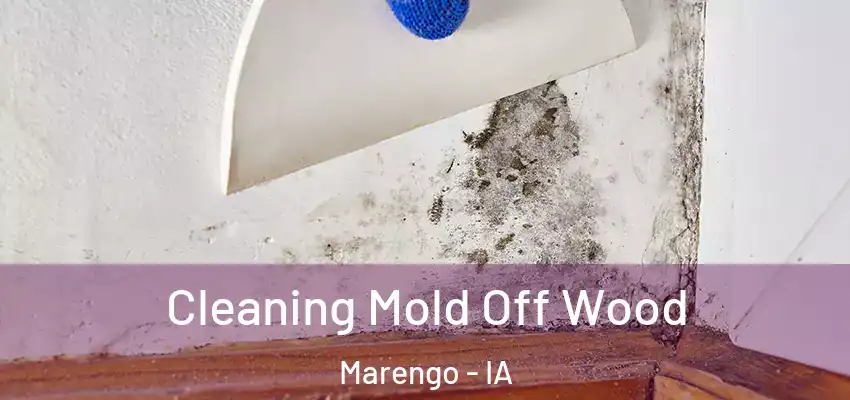Cleaning Mold Off Wood Marengo - IA