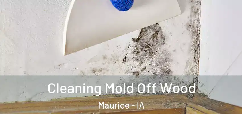 Cleaning Mold Off Wood Maurice - IA